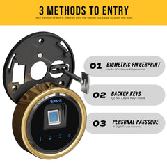 RPNB Biometric 10-Gun Safe for Pistols and Rifles RPFS10 RPNB   - USASafeAndVault