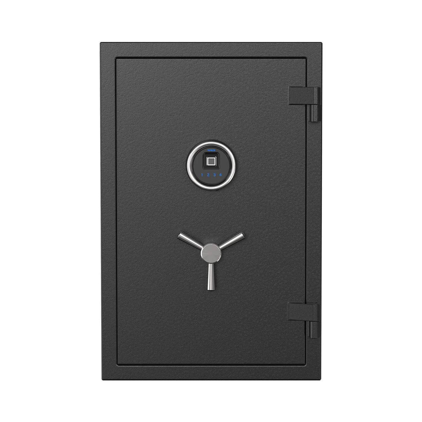 RPNB Large Fireproof Biometric Home Safe RPFS66 RPNB   - USASafeAndVault