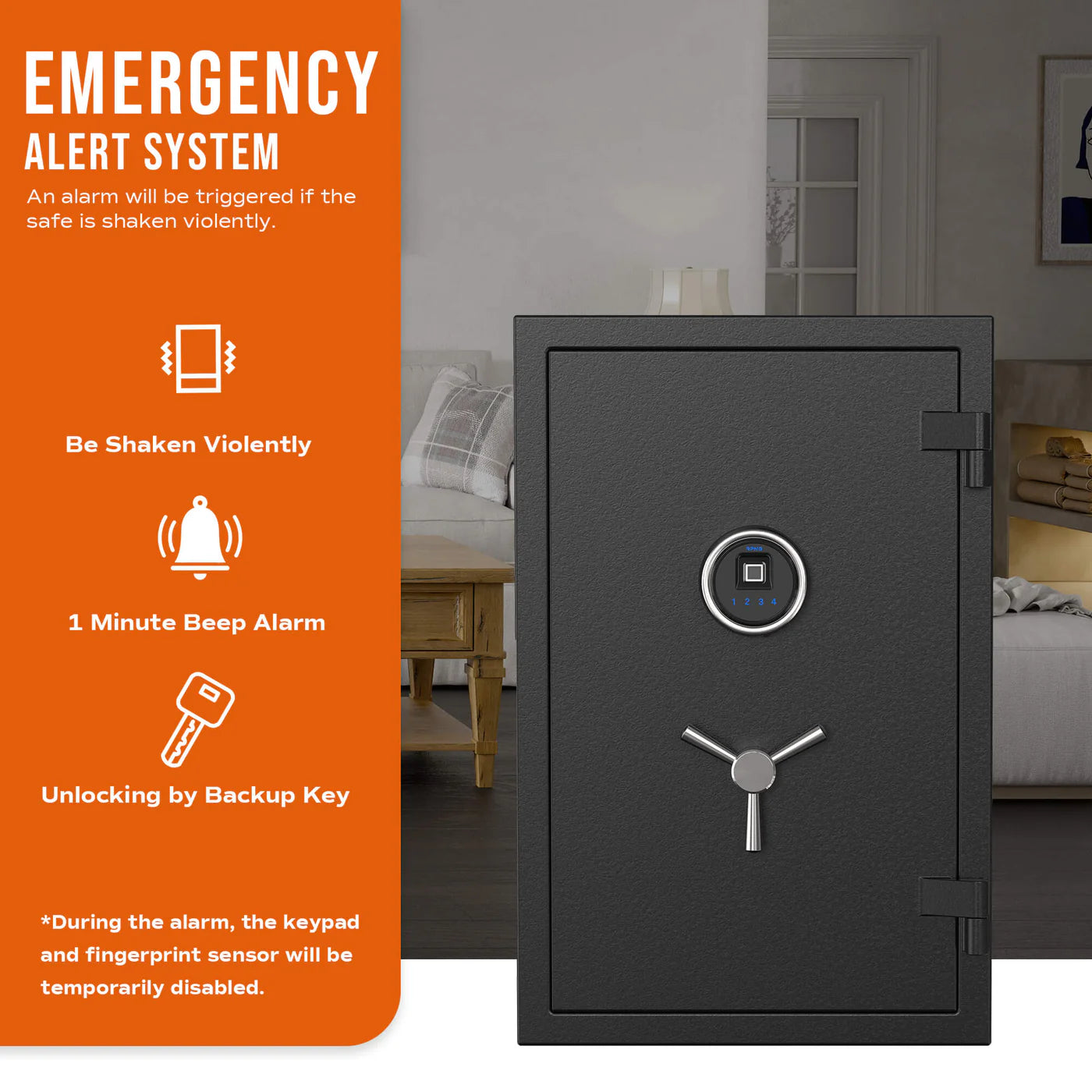 RPNB Large Fireproof Biometric Home Safe RPFS66 RPNB   - USASafeAndVault