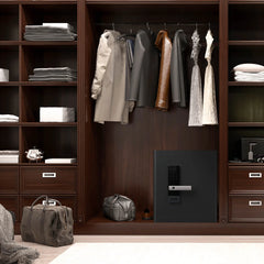 RPNB RPHS45 Fingerprint Home Luxury Closet Safe RPNB   - USASafeAndVault
