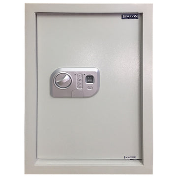 Hollon Wall Safe WS-Bio-1 Hollon   - USASafeAndVault