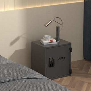 AEGIS Fireproof Home and Office Safe