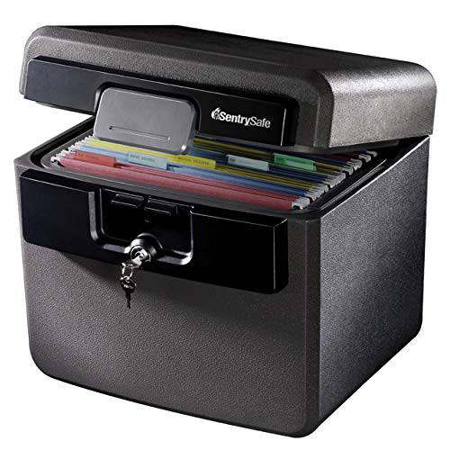 Safe With Key Only SentrySafe HD4100 Fireproof Safe and Waterproof Safe with Key Lock 0.6 ...