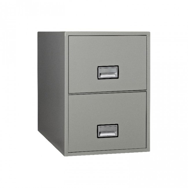 Phoenix Vertical 25-Inch 2-Drawer Legal Fireproof File Cabinet LGL2W25LG Phoenix Safe   - USASafeAndVault